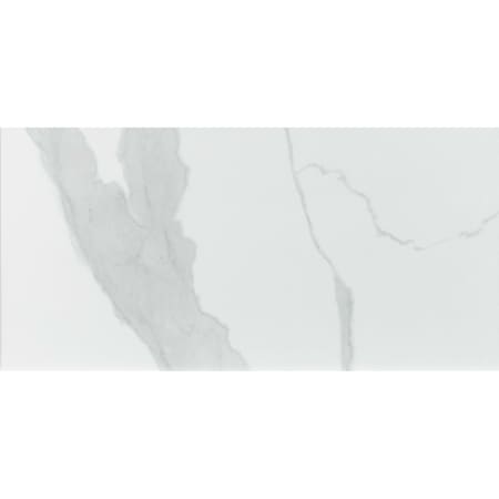Ackland Sample Ardena Silva Matte Porcelain Stone Look Floor and Wall Tile AKNPTARDSILV12X24M-SM